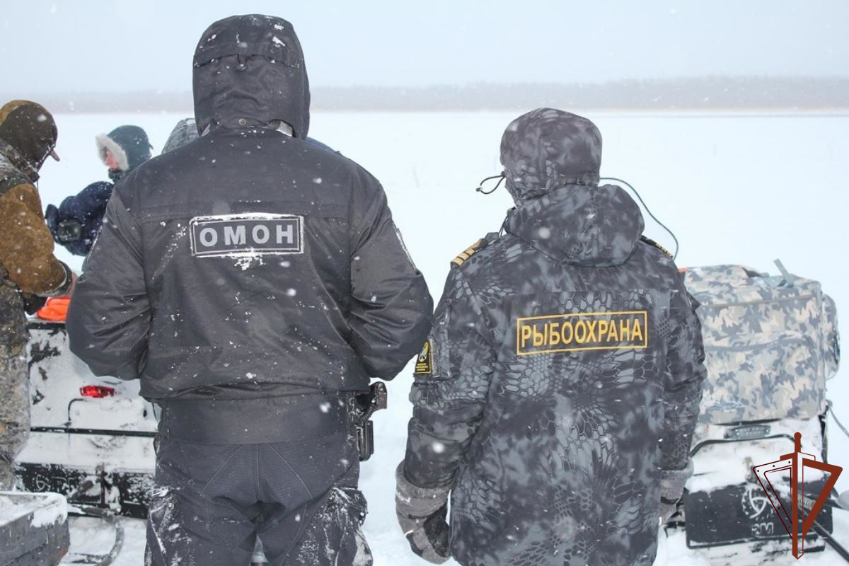 В Югре Росгвардия и Рыбоохрана подвели промежуточные итоги  совместного оперативно-профилактического мероприятия «Ставная сеть».